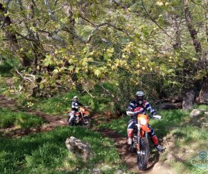 11enduro_tours